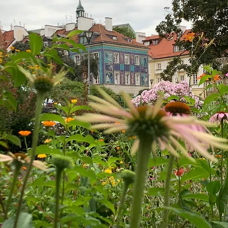 Premium Alice 2 By Bookinghost Daire Varşova